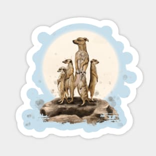 The Misfit Dog Sticker